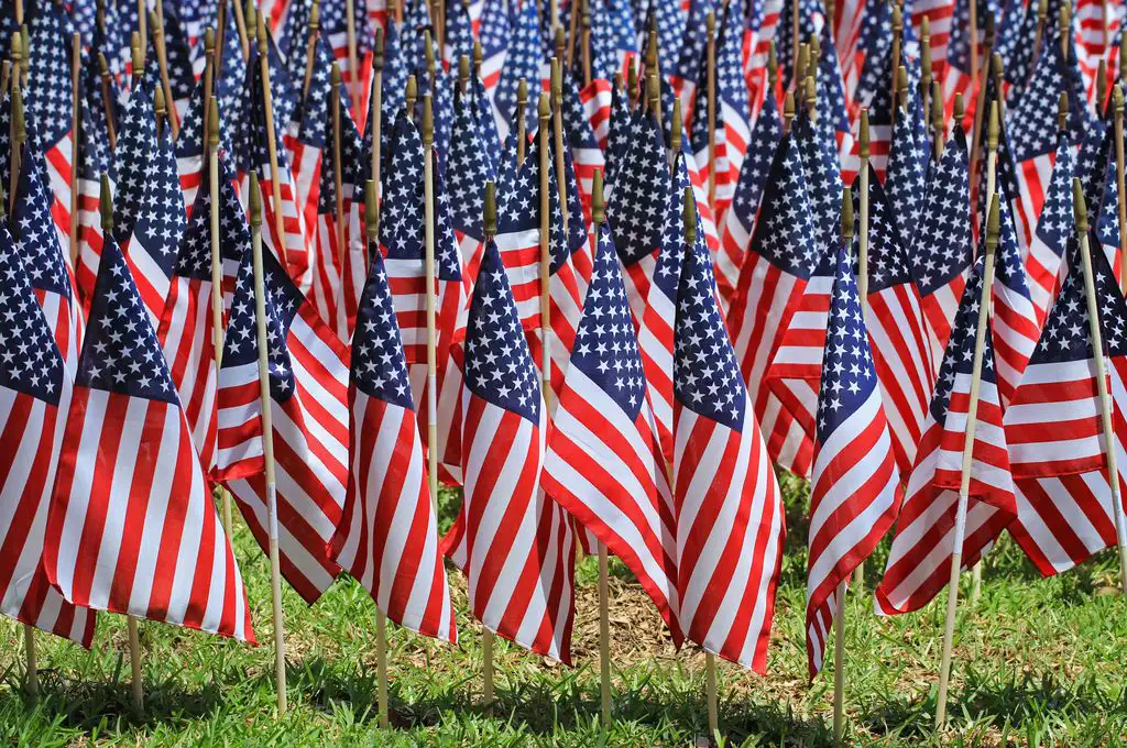 A field of American Flags